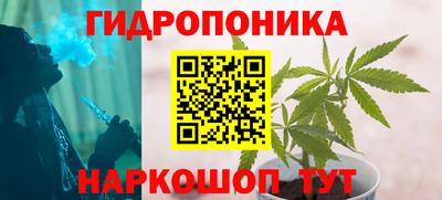 мдпв Пенза