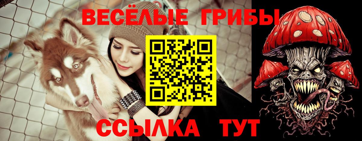 Галлюциногенные грибы мицелий  Вход с VPN  закладка  Сунжа 